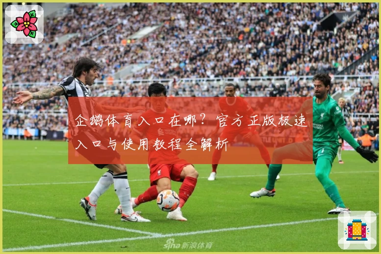 企鹅体育入口在哪？官方正版极速入口与使用教程全解析