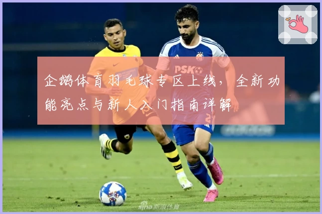 企鹅体育羽毛球专区上线，全新功能亮点与新人入门指南详解