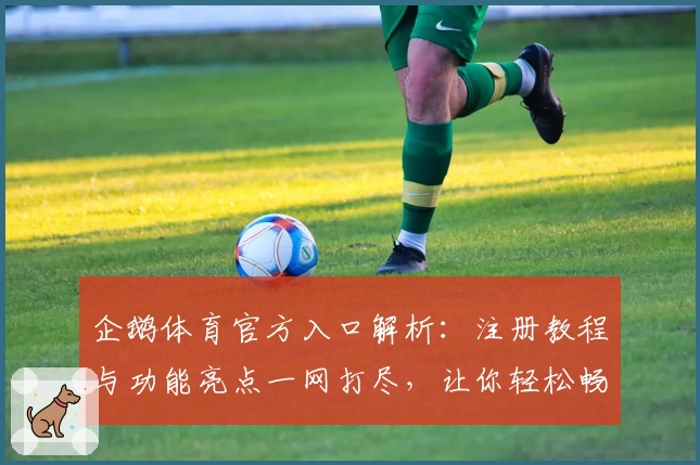 企鹅体育官方入口解析：注册教程与功能亮点一网打尽，让你轻松畅享赛事魅力