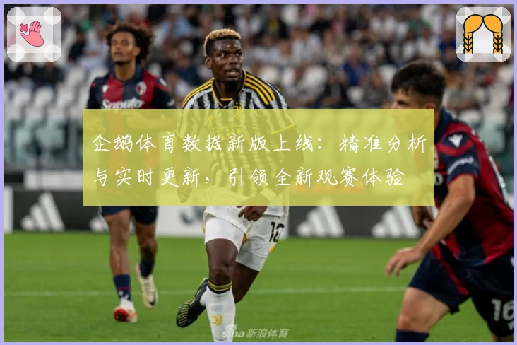 企鹅体育数据新版上线：精准分析与实时更新，引领全新观赛体验