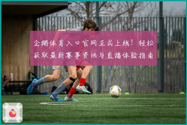 企鹅体育入口官网正式上线！轻松获取最新赛事资讯与直播体验指南